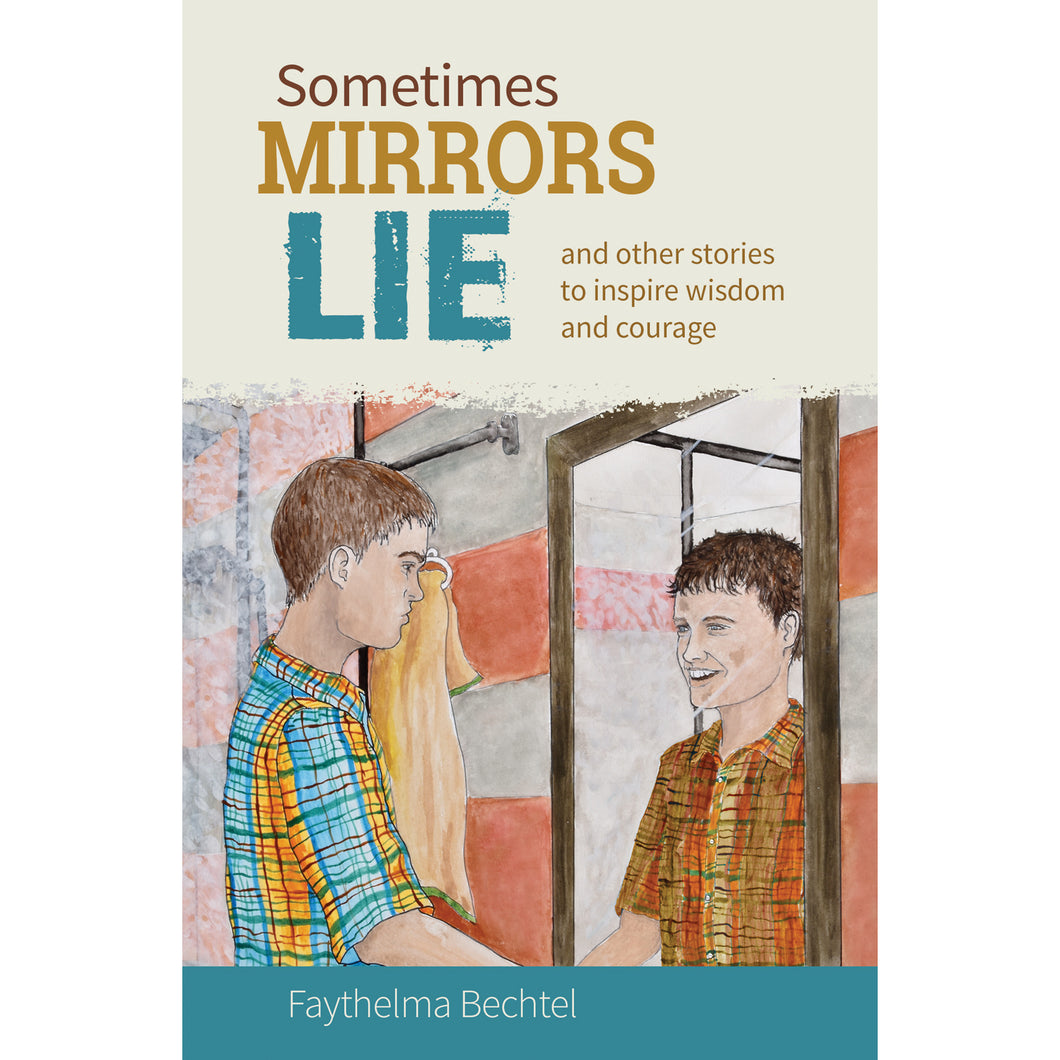 Sometimes Mirrors Lie book