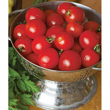Small round tomatoes