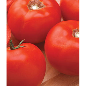 Queen of Hearts Tomatoes