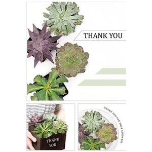 Inspirational Cards Thank You Succulents CH2209 