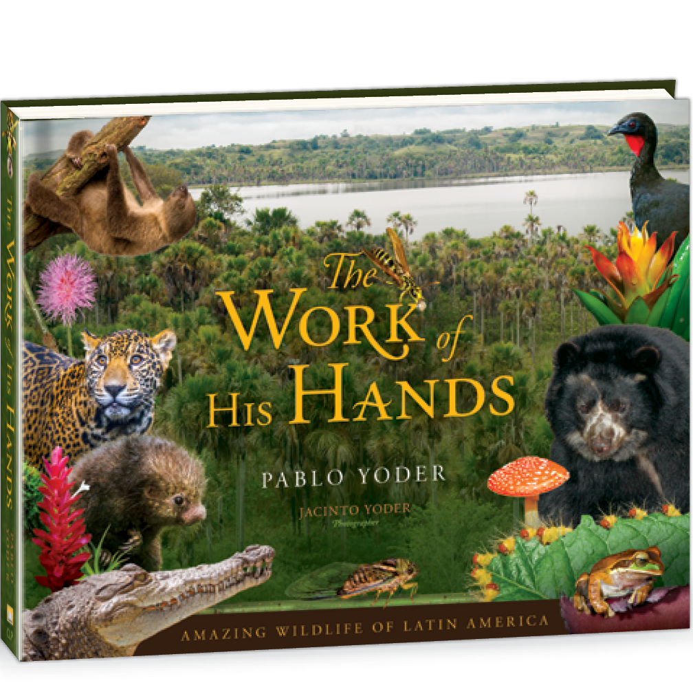 The work of His Hands book by Pablo Yoder 9780878137930