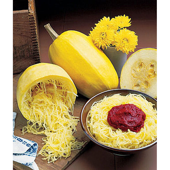 Spaghetti squash