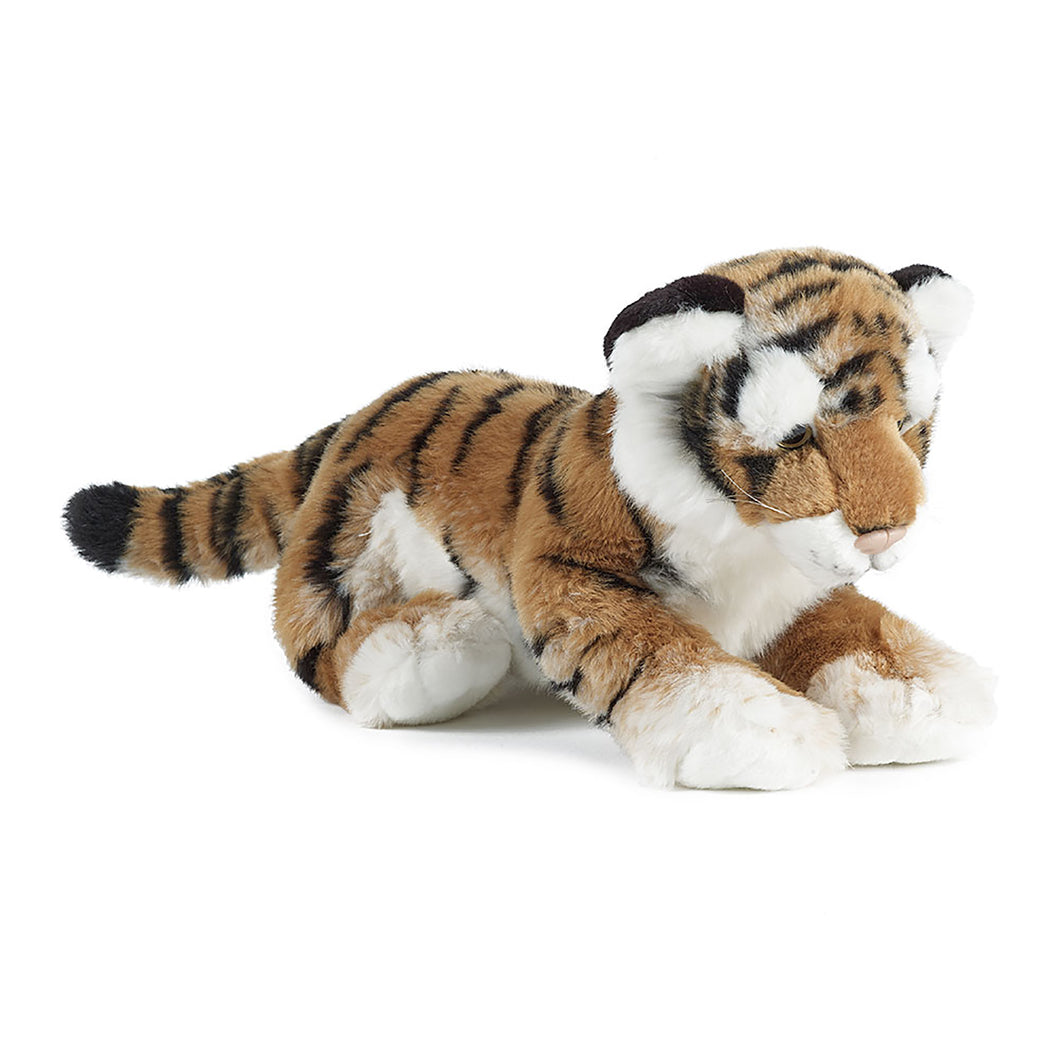 Sitting Tiger Cub