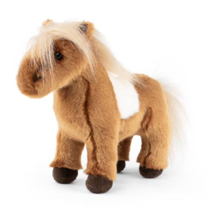 Shetland Pony AN649