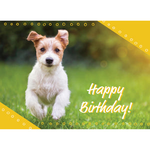 Puppy birthday card