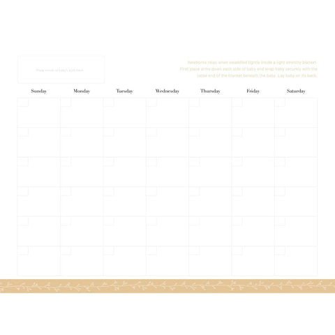 Baby's First Years Calender 966502