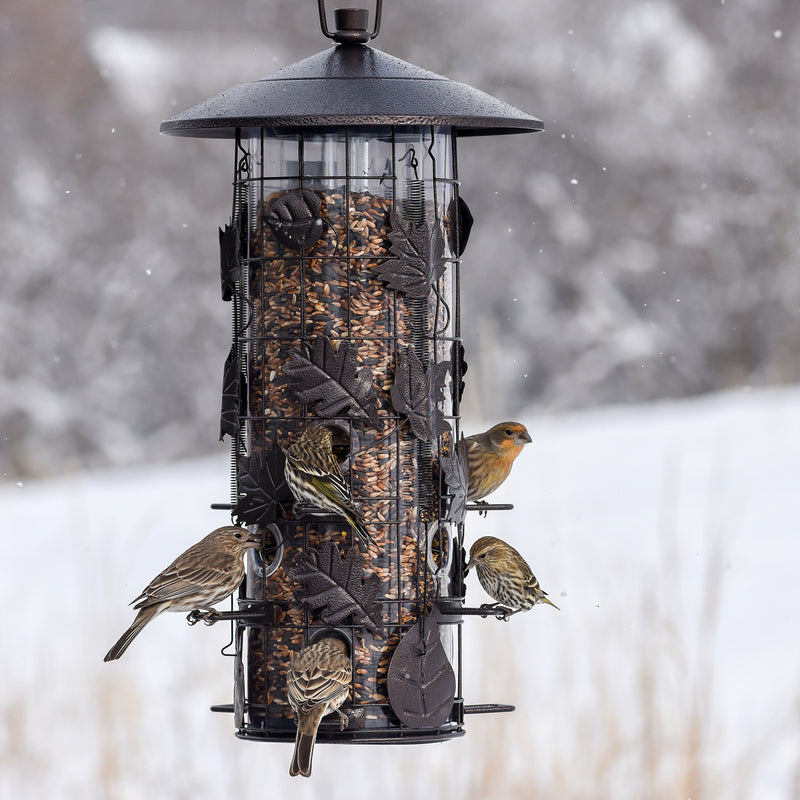 Squirrel-B-Gone Bird Feeder 337