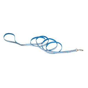 Blue dog leash