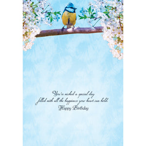 FT boxed greeting cards birthday songbird