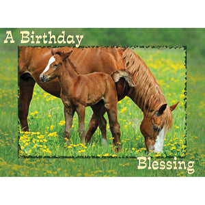 Boxed greeting card birthday farmyard friends horses