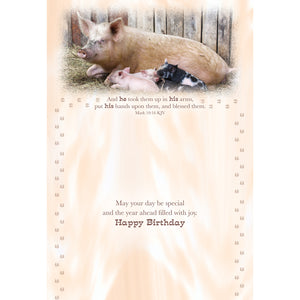 FT boxed greeting card birthday farmyard friends pigs inside