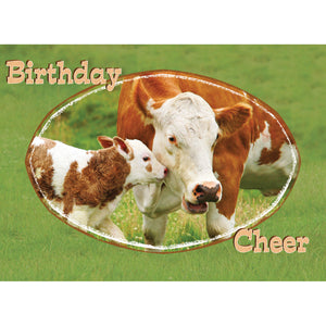 FT boxed greeting card birthday farmyard friends cows