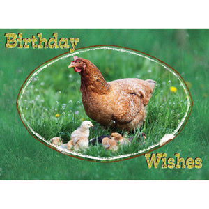 FT boxed greeting card birthday farmyard friends chickens