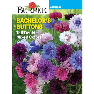 Bachelor's Buttons flower seed pack