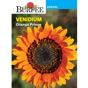 Venidum flower seeds