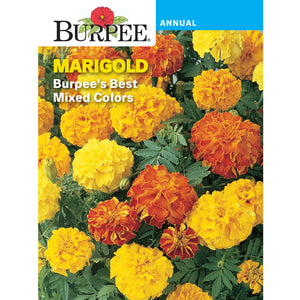 Marigold seed pack