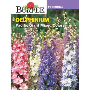 Pacific Delphinium flower seed pack