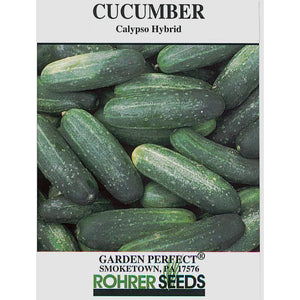 Calypso Hybrid Cucumbers