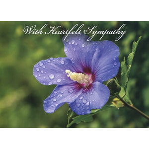 Card 2 Sympathy Dewdrops