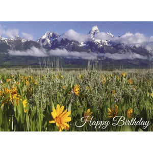 Card 3 Birthday Mountain Joy