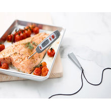 Digital Cooking thermometer in fish