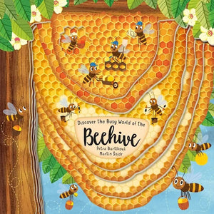 Discovering Beehive cover