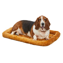 Basset hound on pet bed