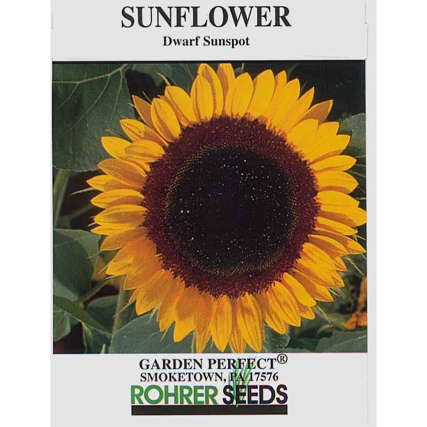 Dwarf Sunspot Sunflower seed pack