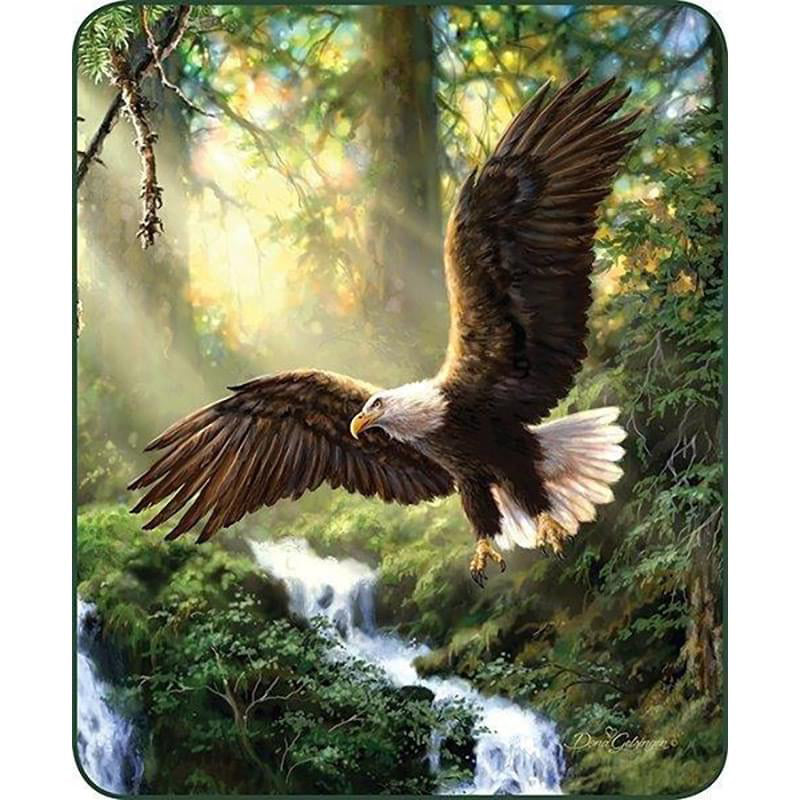 Eagles Flight plush blanket