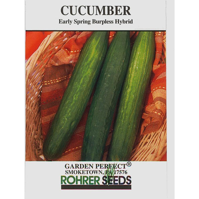 Early Spring Burpless Hybrid Cucumber seeds