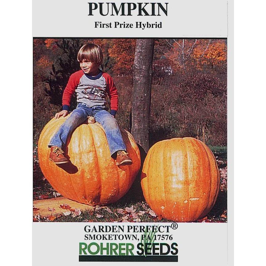 First prize pumpkin seed pack