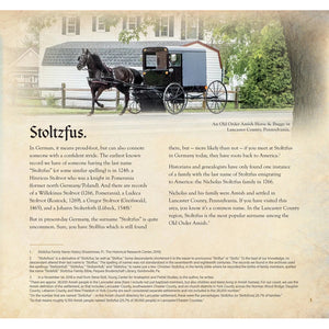 German Lutherans To Pa Amish The Stoltzfus Family Story
back cover