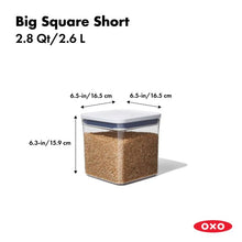Big Square Short POP Container 11233600