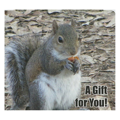 Good's Store Gift Card in a Gray Squirrel Holder