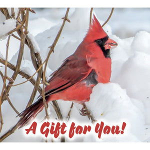 Good's Store Gift Card Winter Cardinal Holder