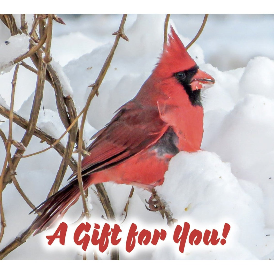Good's Store Gift Card Winter Cardinal Holder – Good's Store Online