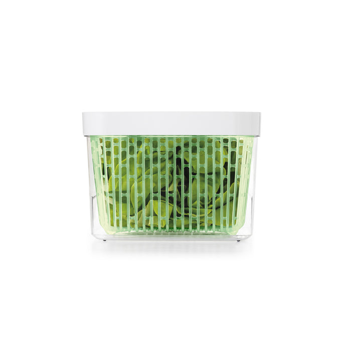 Greensaver container with lettuce inside