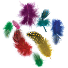 Guinea feathers