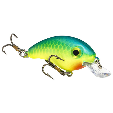 Gizzard Shad