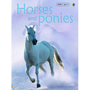 Horses and Ponies Book 9780794513979