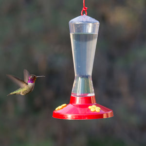 Hummingbird feeder