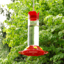Hummningbird feeder in use