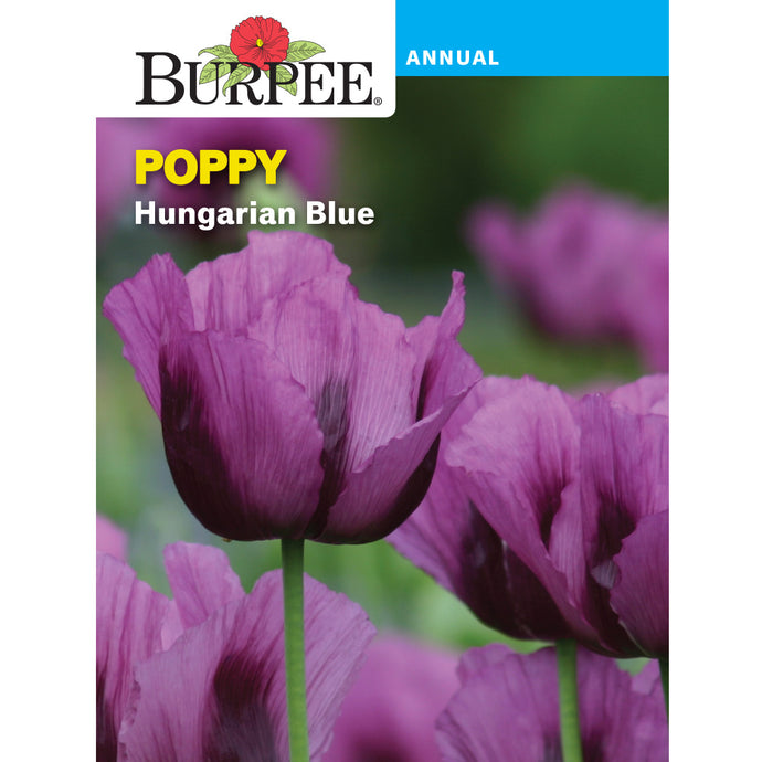 Hungarian Blue Poppy flower seed pack