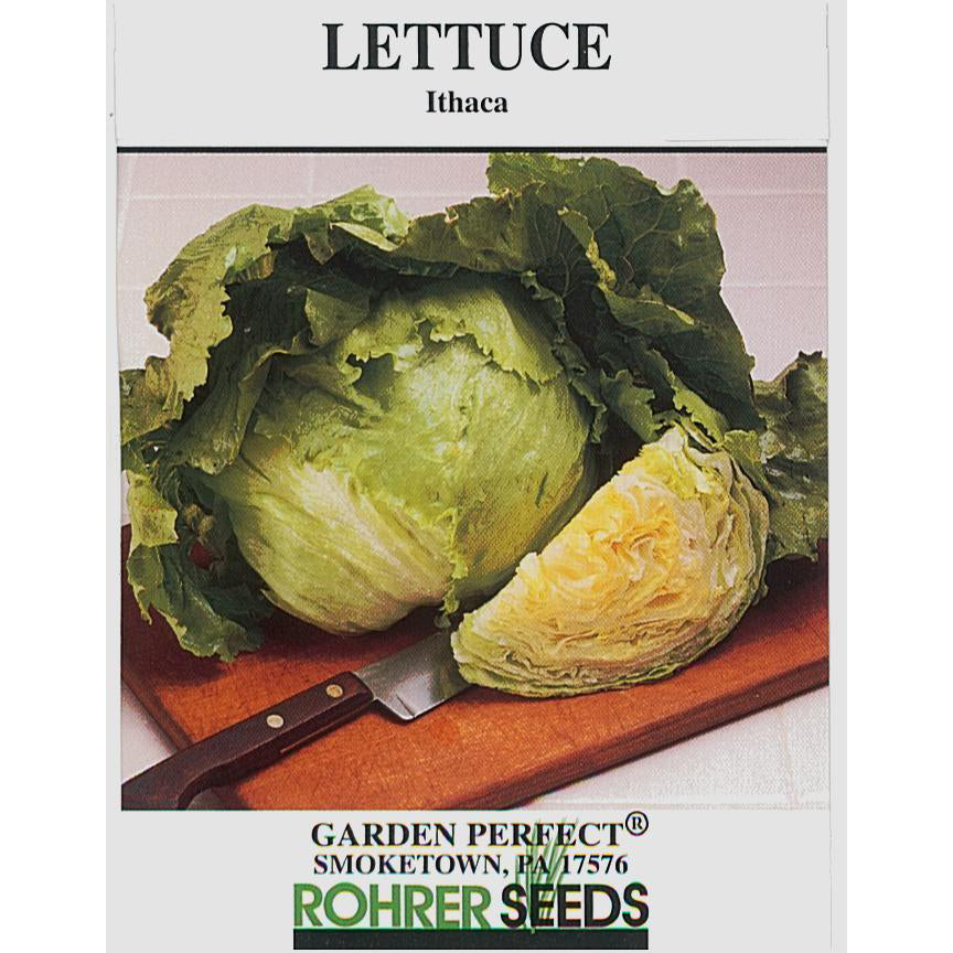 Lettuce seed pack