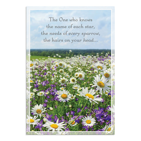 Praying for You - Landscapes - 12 Boxed Cards "The One who knows the name of each star, the needs of every sparrow, the hairs on your head.."