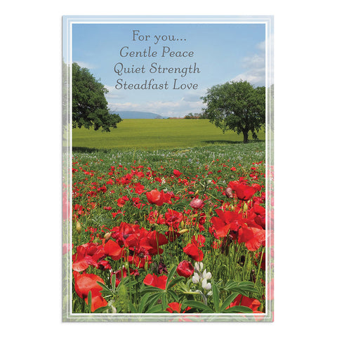 Praying for You - Landscapes - 12 Boxed Cards "For you..Gentle Peace Quiet Strength Steadfast Love"