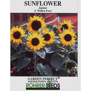 Junior Sunflower seed pack