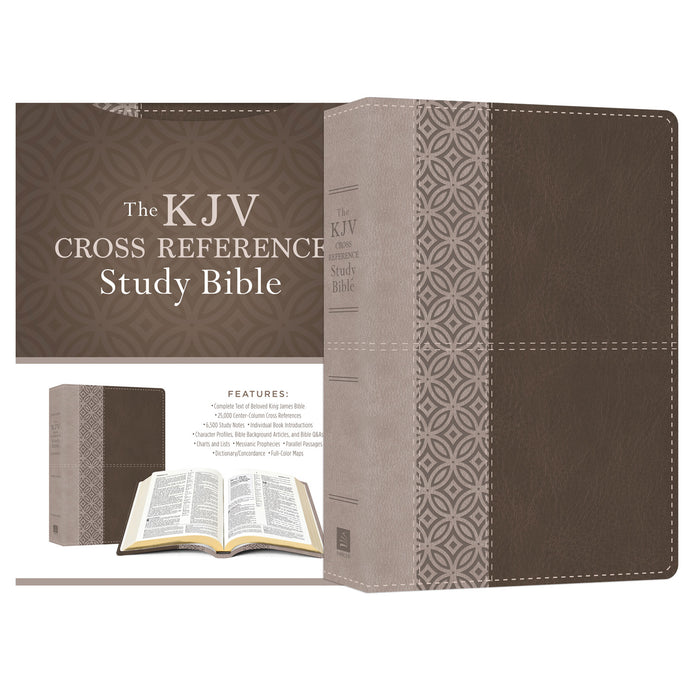 KJV cross reference study Bible in stone