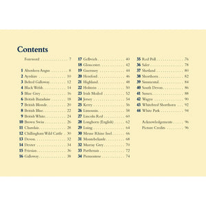 Table of contents book