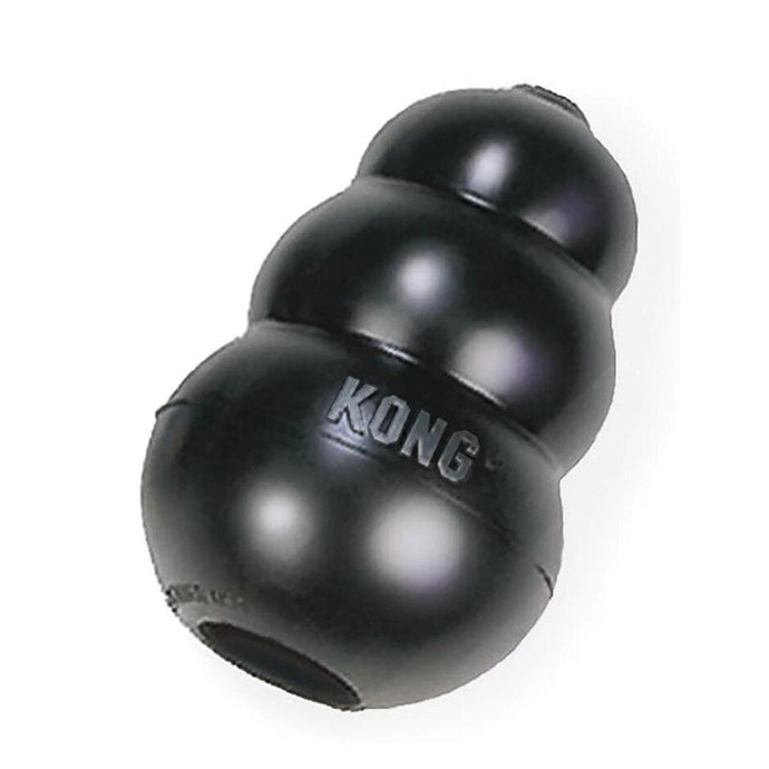 Kong chew toy extreme
